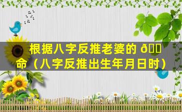 根据八字反推老婆的 🐠 命（八字反推出生年月日时）